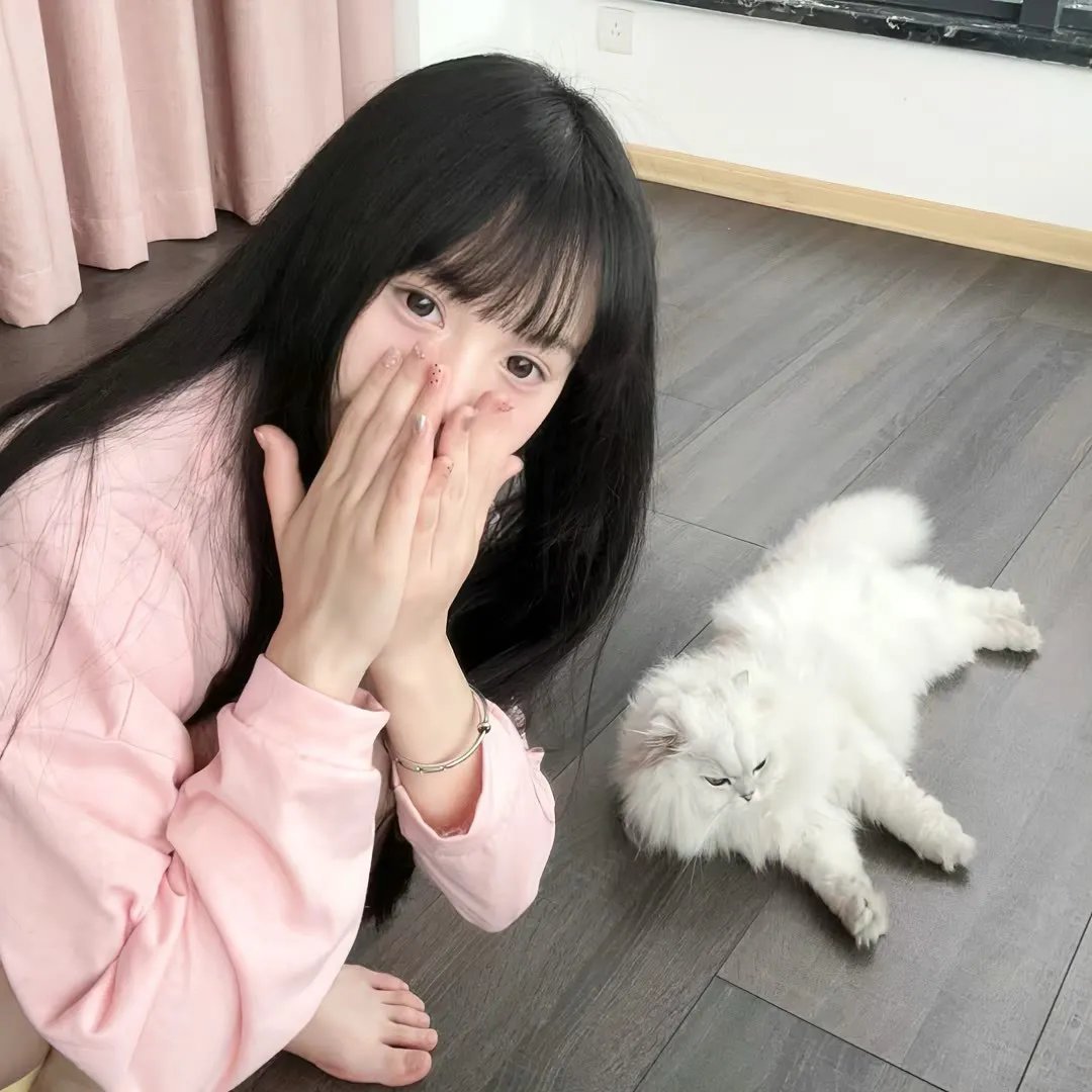彩云妃子