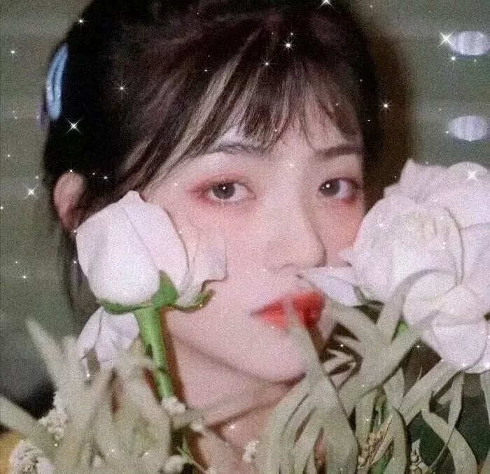 维多利亚与阿卜杜勒